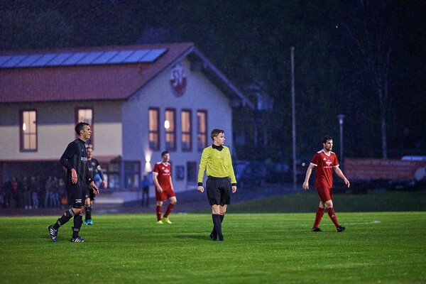 svl-tsvw-23-04-28-20-19-20