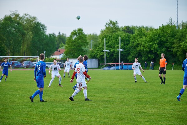 svl-tsvf-23-05-17-20-04-49