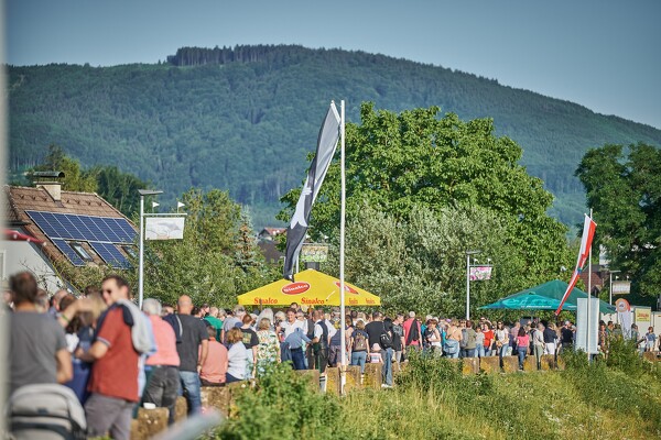 swlbob-23-06-24-18-58-51