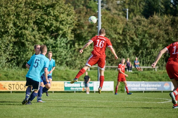 svlii-tsvp-23-09-24-16-12-35