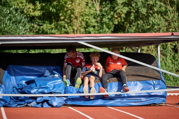 svlii-tsvp-23-09-24-16-19-28