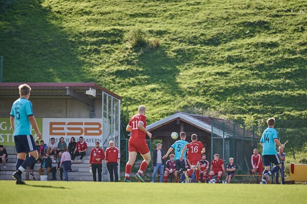 svlii-tsvp-23-09-24-16-22-39