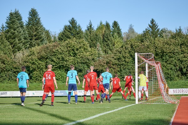 svlii-tsvp-23-09-24-16-47-26