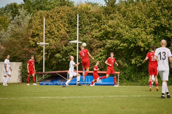 svl-tsvb-23-10-07-14-12-33