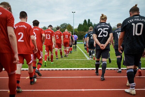 svlii-tsvpii-23-10-07-16-06-53