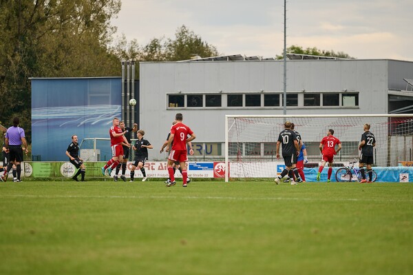 svlii-tsvpii-23-10-07-16-17-04