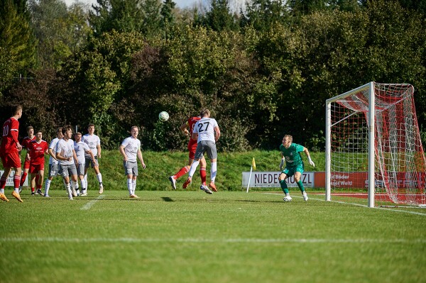 svl-svo-23-10-22-14-08-43