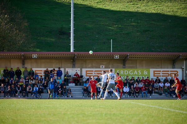 svl-svo-23-10-22-14-17-08