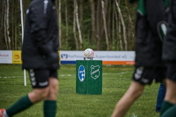 svl-svl-24-04-01-12-55-17