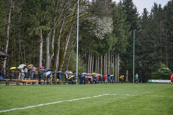 svl-svl-24-04-01-13-07-36