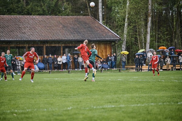 svl-svl-24-04-01-13-12-06