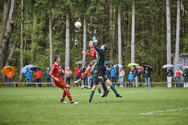 svl-svl-24-04-01-13-16-37