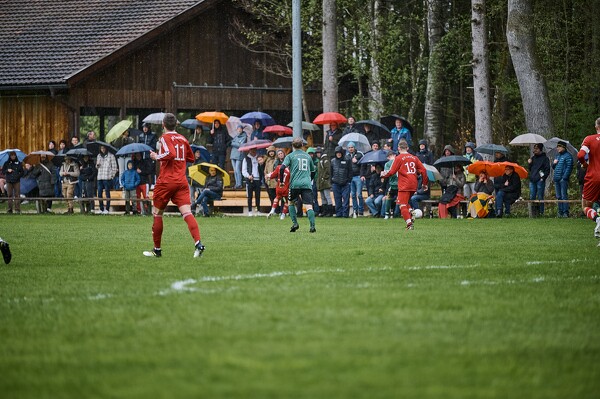 svl-svl-24-04-01-13-16-45