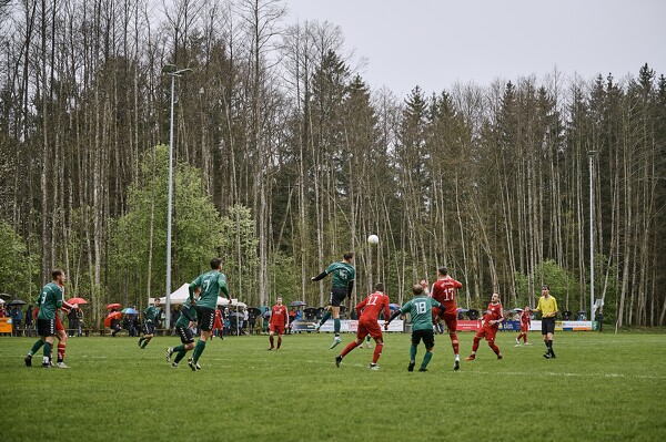 svl-svl-24-04-01-13-19-24