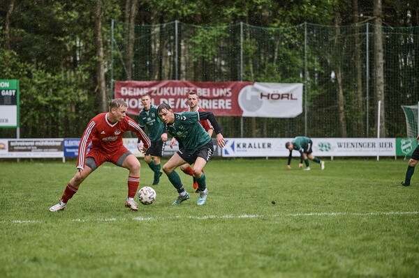 svl-svl-24-04-01-13-44-23