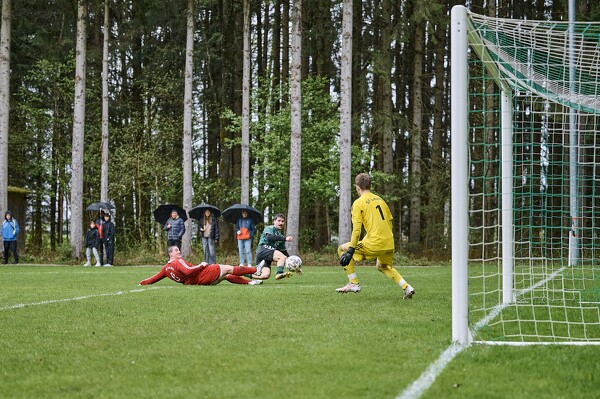 svl-svl-24-04-01-14-06-24