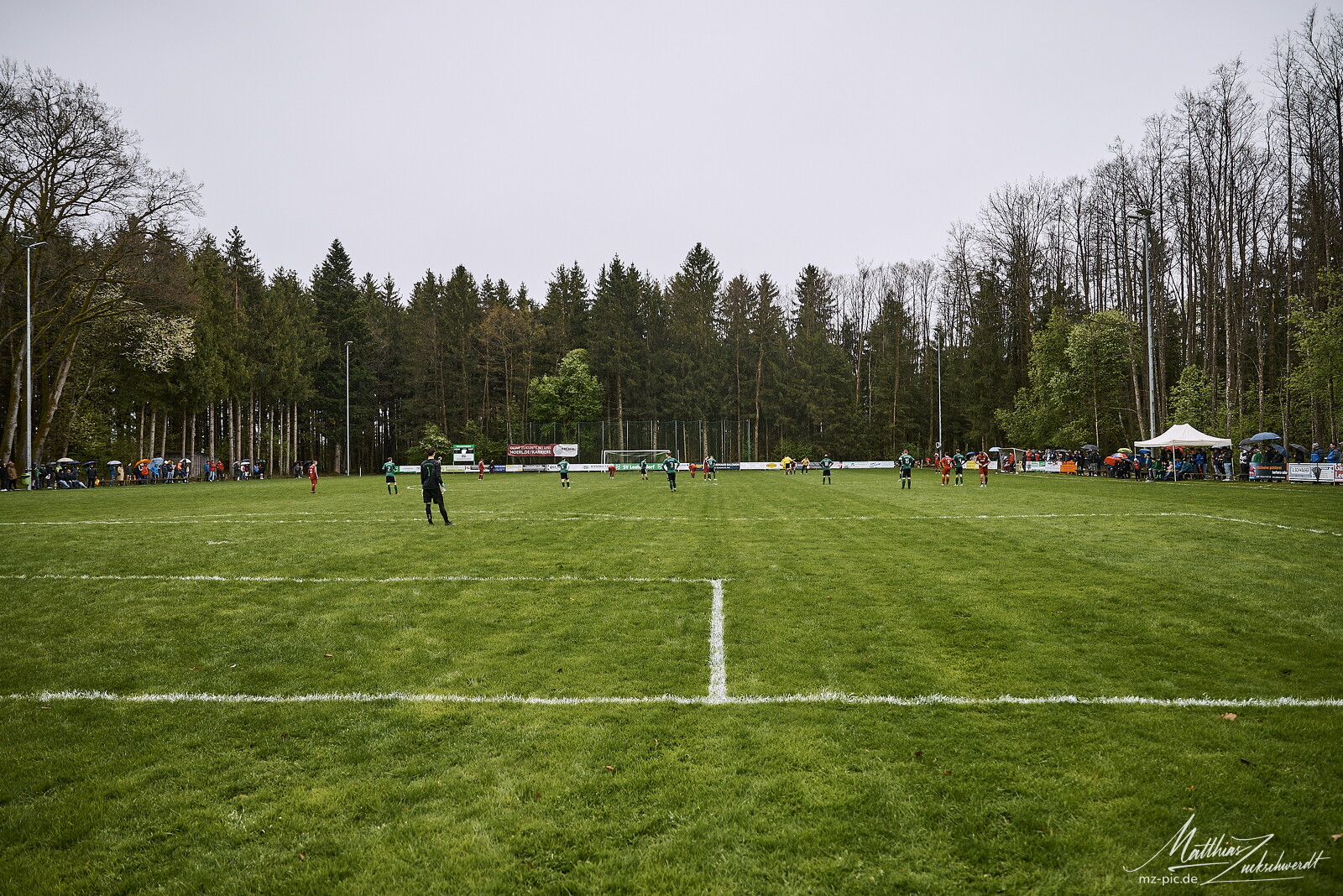 svl-svl-24-04-01-14-39-31.jpg