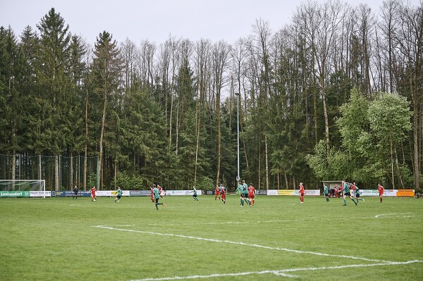 svlii-svlii-24-04-01-16-13-35