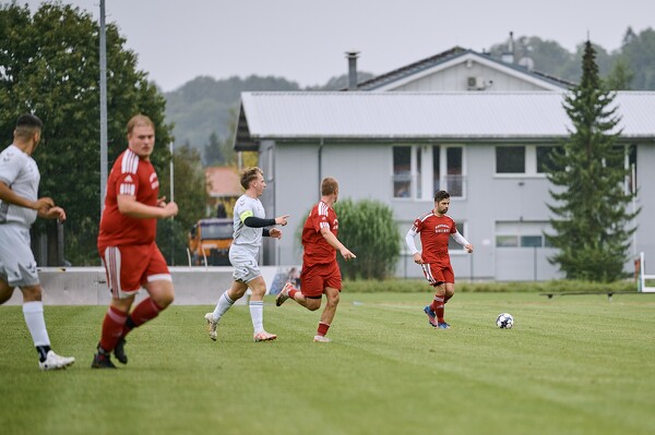 svlii-svwbii-24-08-25-16-15-54