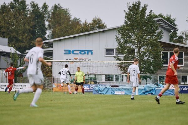 svlii-svwbii-24-08-25-16-48-38