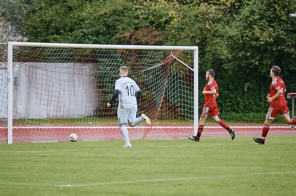 svlii-svwbii-24-08-25-17-19-58