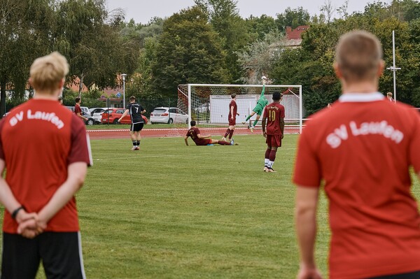 svlii-svmii-24-09-08-17-36-25