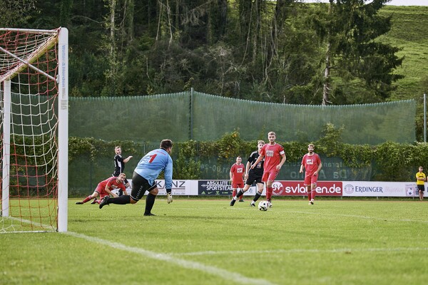 svlii-tsvfa-24-09-22-16-15-28