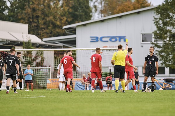 svlii-tsvfa-24-09-22-17-16-29