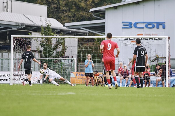 svlii-tsvfa-24-09-22-17-18-31