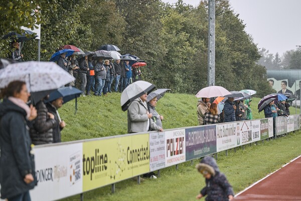 svl-svl-24-10-13-14-10-14