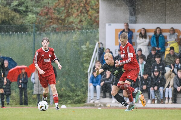 svl-svl-24-10-13-14-14-09