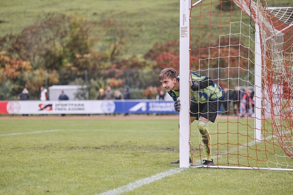 svl-svl-24-10-13-15-41-45