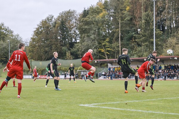 svl-svl-24-10-13-15-43-12