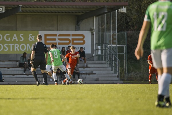 svl-tsvsii-24-10-27-14-21-58