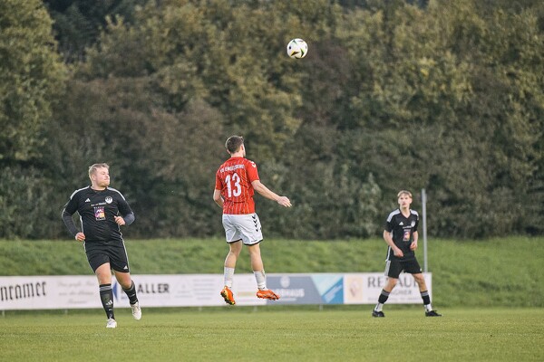 svlii-tsueii-24-10-27-17-06-19