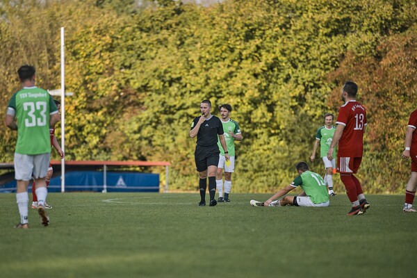 svl-tsvsii-24-10-27-15-22-11