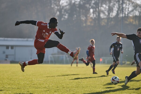 svl-djko-24-11-17-14-35-10