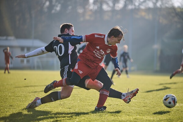 svl-djko-24-11-17-14-38-26