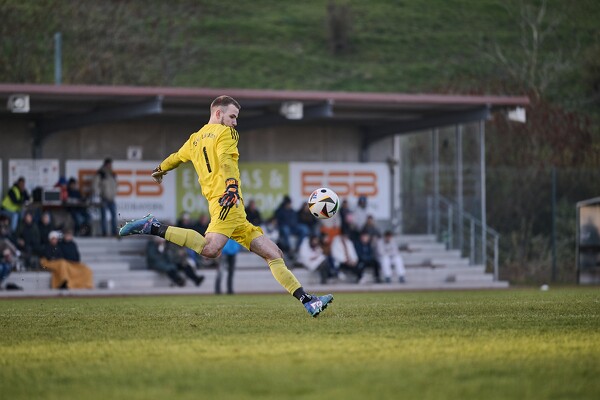 svl-djko-24-11-17-15-34-15