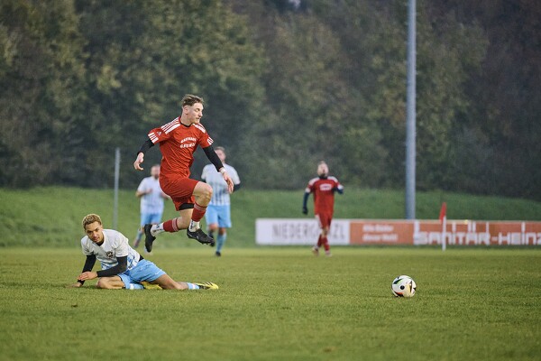 svl2-sgsa-24-11-17-16-43-28