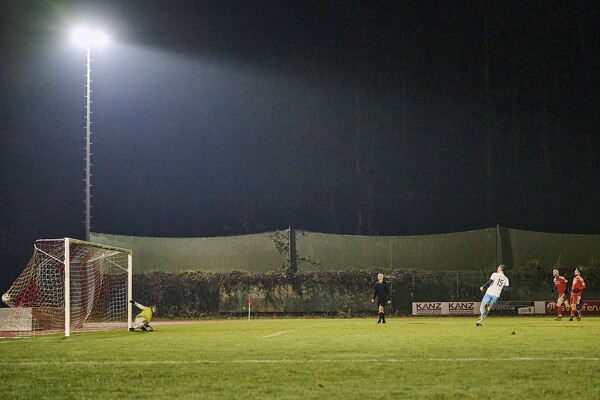 svl2-sgsa-24-11-17-17-29-02