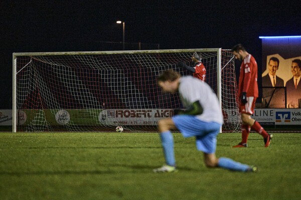 svl2-sgsa-24-11-17-17-33-46