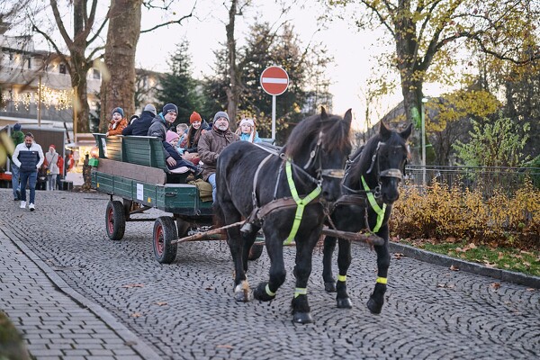 cm-24-11-30-16-33-29