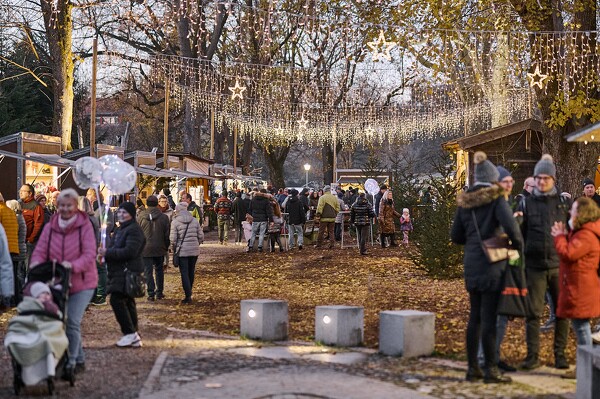 cm-24-11-30-16-38-19