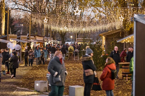 cm-24-11-30-16-38-43