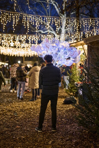 cm-24-12-07-16-51-14