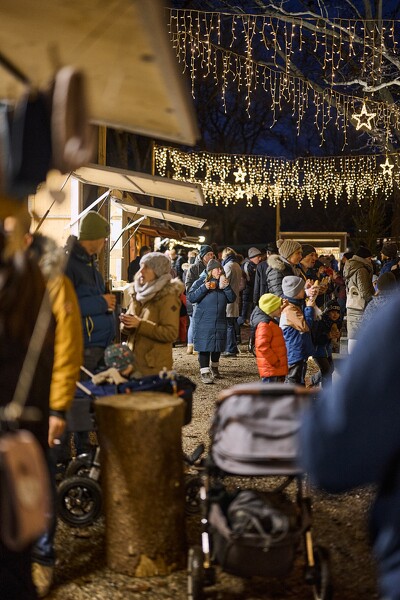 cm-24-12-07-16-52-54