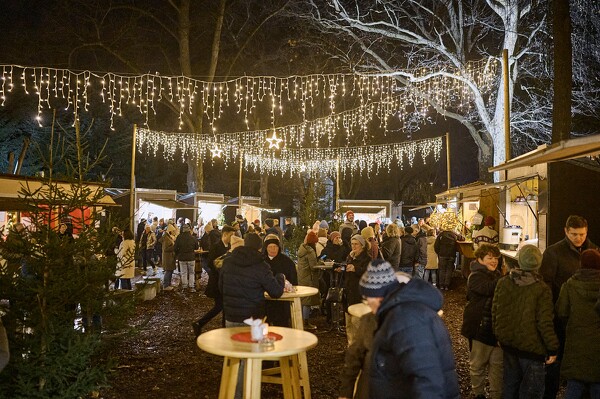 cm-24-12-07-18-01-24