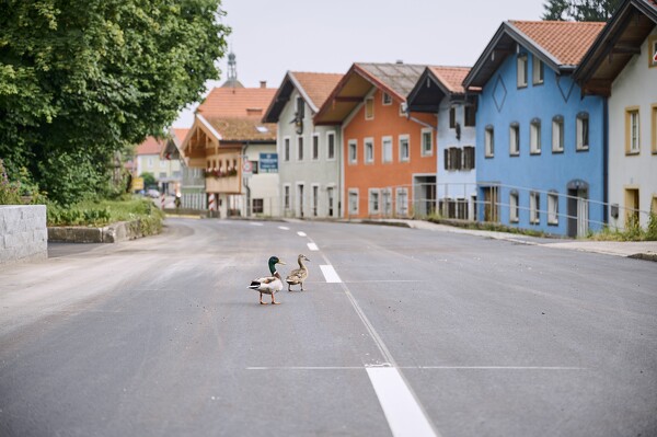 b20-24-06-21-08-19-18