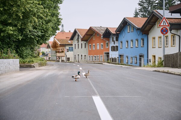 b20-24-06-21-08-19-19